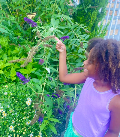 Butterflies on the property! 🧡🦋🧡🦋🧡