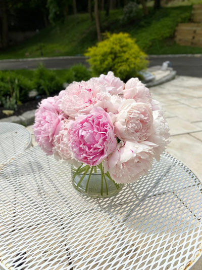 More Peonies from the garden. 💖