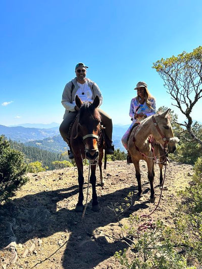 The mountains of Mexico!🧡🦋