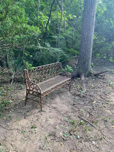 about two years ago we found this old secret garden on the property.