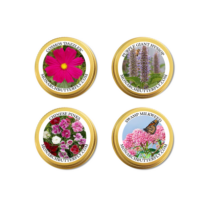 Pink & Purple Pollinator Paradise Kit